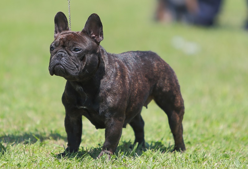 TALAURI MATILDA, imagen 2