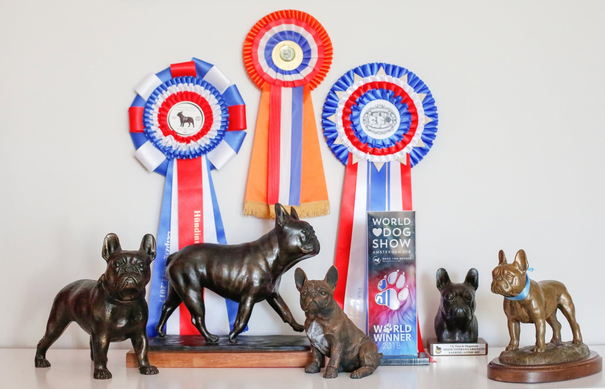 Colección de trofeos y rosetas TALAURI, incluido el galardón World Winner 2018 del World Dog Show en Ámsterdam